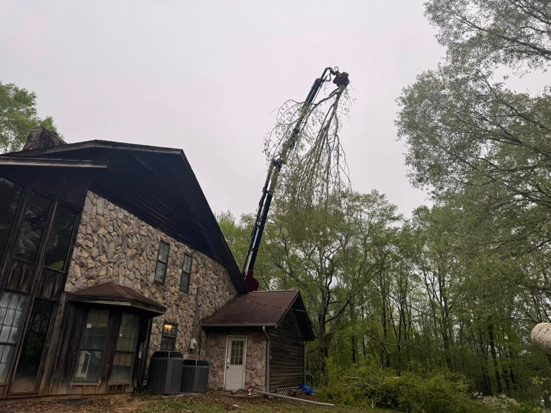 Tree Crain Crane-assisted tree removal in Chickasaw, AL | Florida Storm Experts