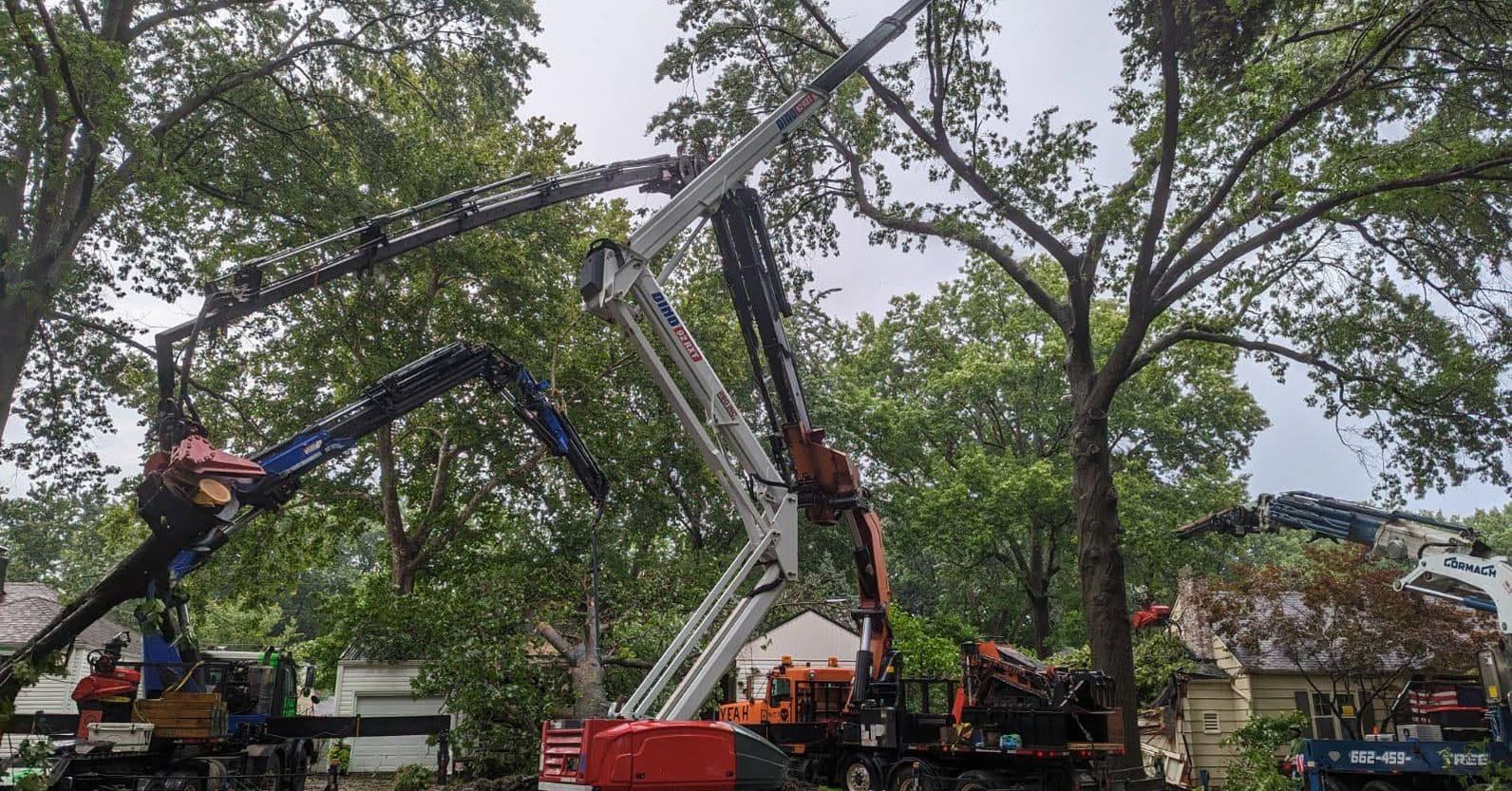 Hurricane Isaias tree removal in Magnolia Beach, AL | Florida Storm Experts