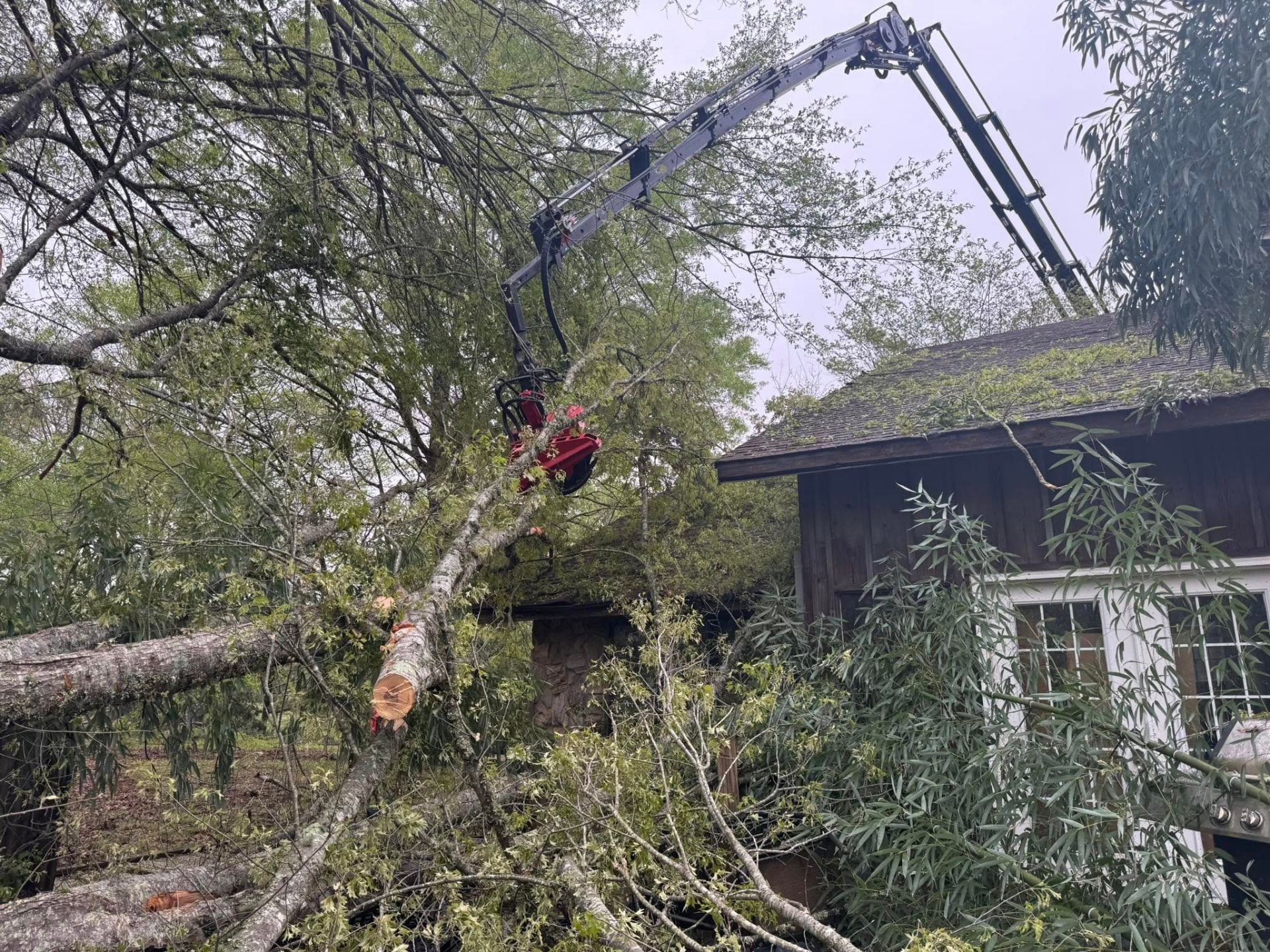 Scoping Tree Image Hurricane Isaias tree removal in Magnolia Beach, AL | Florida Storm Experts