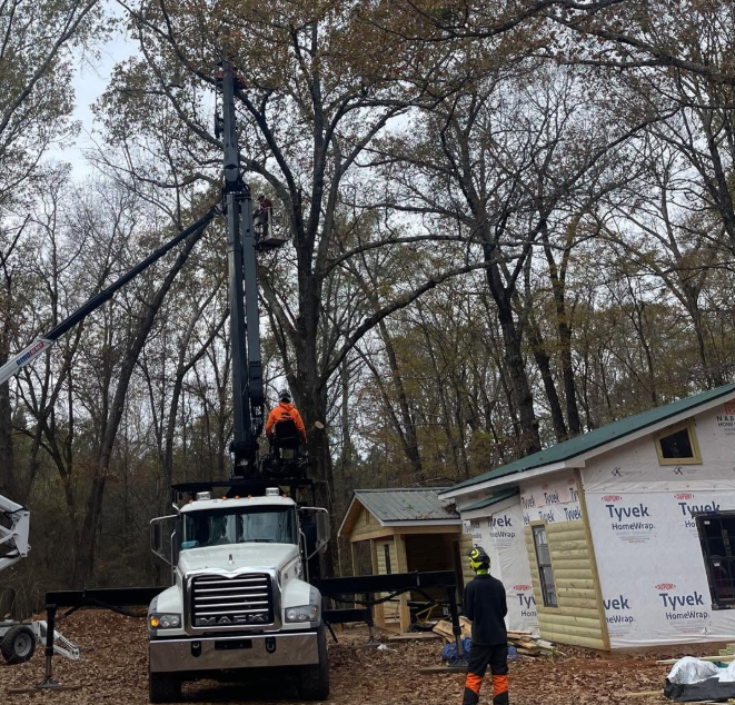 Hurricane Isaias tree removal in Regatta Bay, FL | Florida Storm Experts